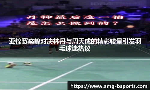B体育