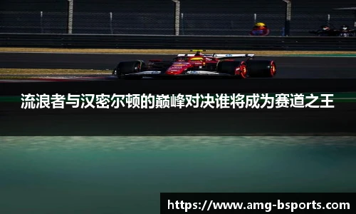 流浪者与汉密尔顿的巅峰对决谁将成为赛道之王